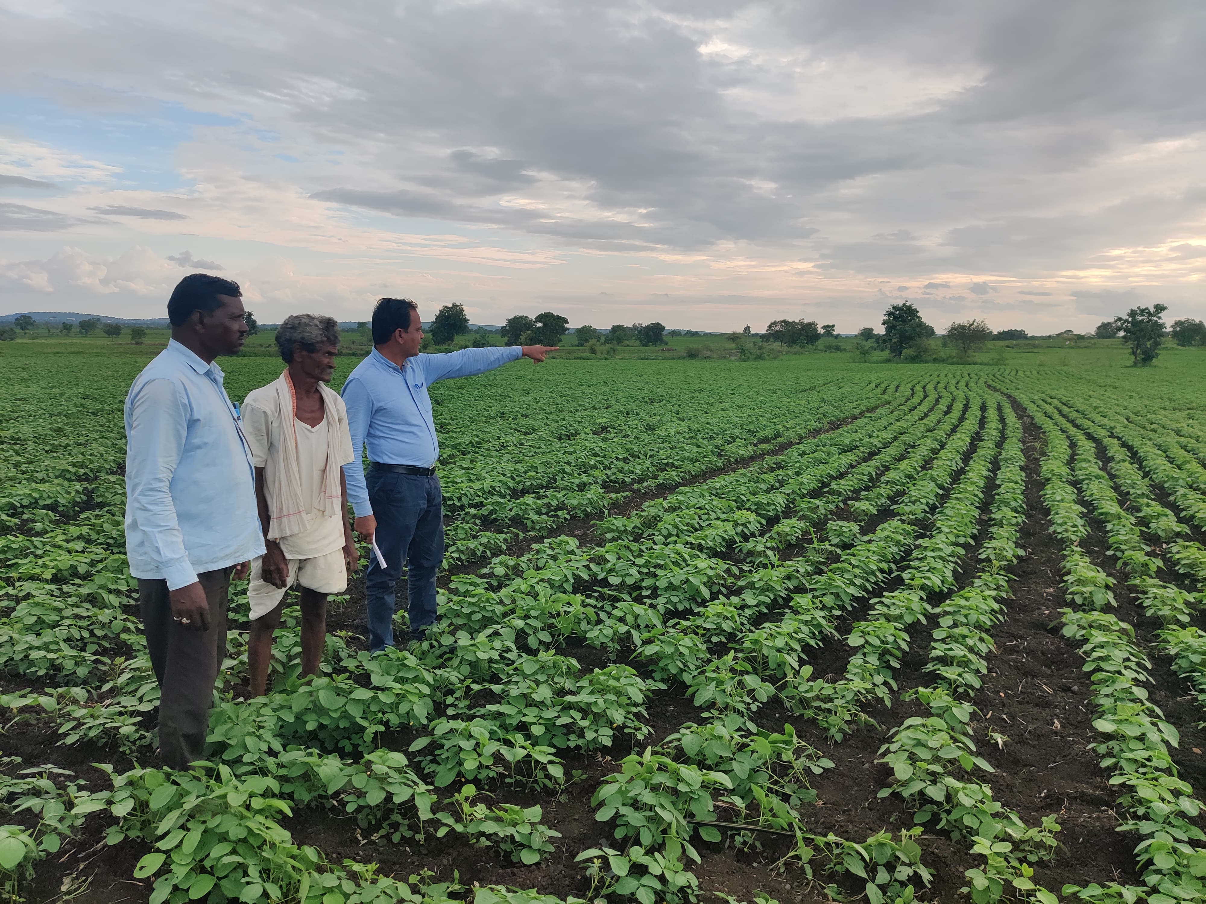 Agricultural Consulting