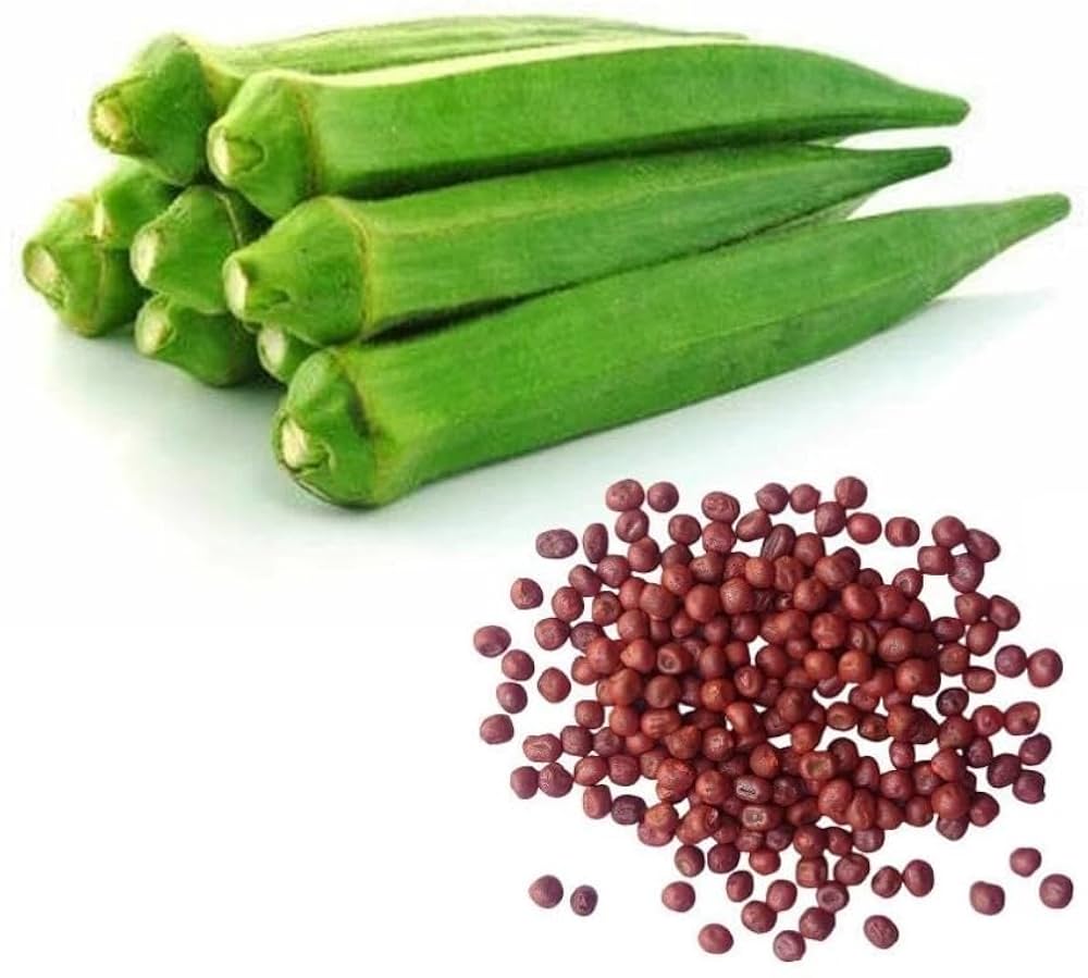 Bhindi Seeds